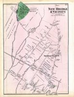 New Bridge and Vicinity Town, Long Island 1873